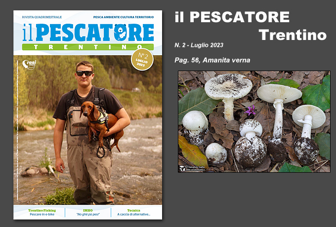 ilpescatoretrentino2_2023 (227K)